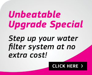 Unbeatable Upgrade Special 2025